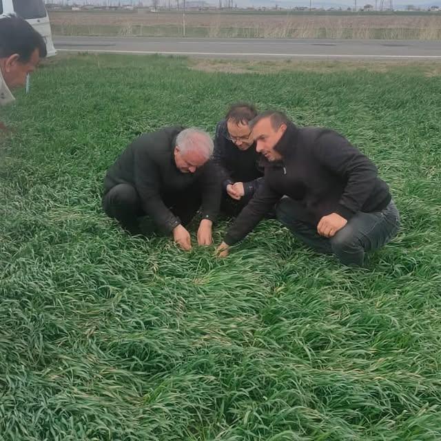 Niğde'de Don Zararı Tespiti ve Hasar Değerlendirmesi