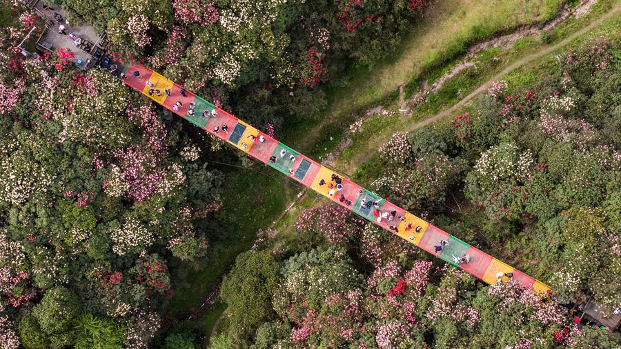 Aperture24, Çin'den Yeni Haber Platformu Başlatıldı