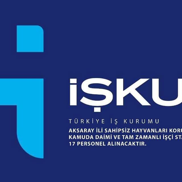 Aksaray Ortaköy Belediyesi, Sahipsiz Hayvanları Koruma Birliği İçin Personel Alımı Yapıyor