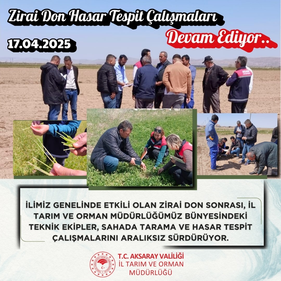 Aksaray'da Zirai Don Hasarı Tespit Çalışmaları Devam Ediyor