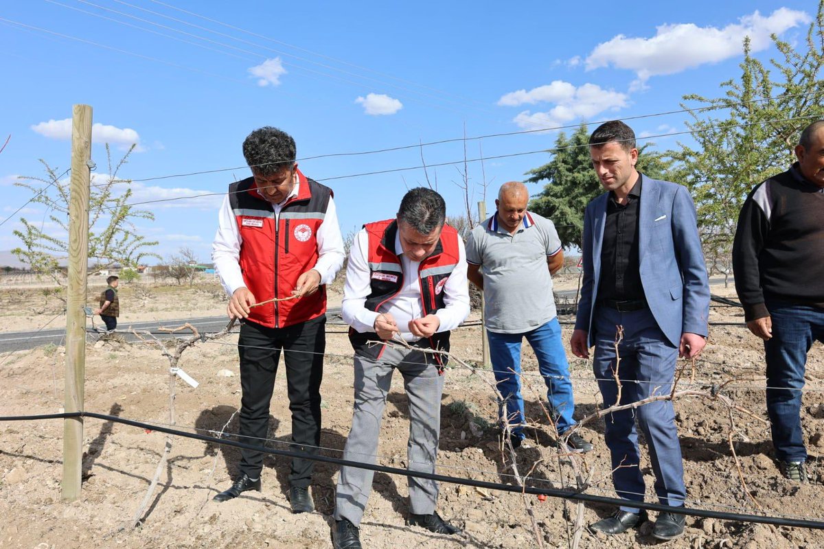 Nevşehir'de Zirai Don Sonrası Bağ, Bahçe Üretiminde Zarar