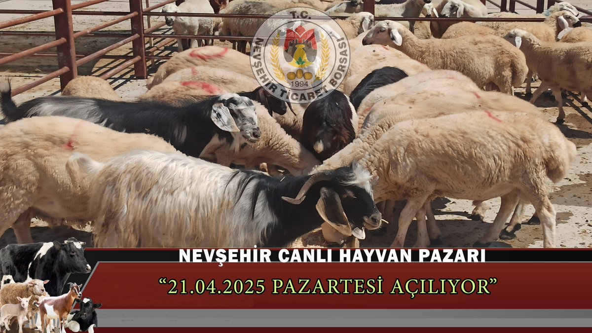 Nevşehir’de Yeni Hayvan Pazarı Açılıyor