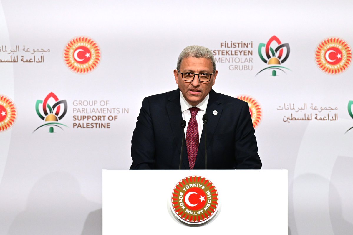 Mısır Temsilciler Meclisi Başkan Yardımcısı Türkiye'de Filistin Desteği Konferansına Katıldı