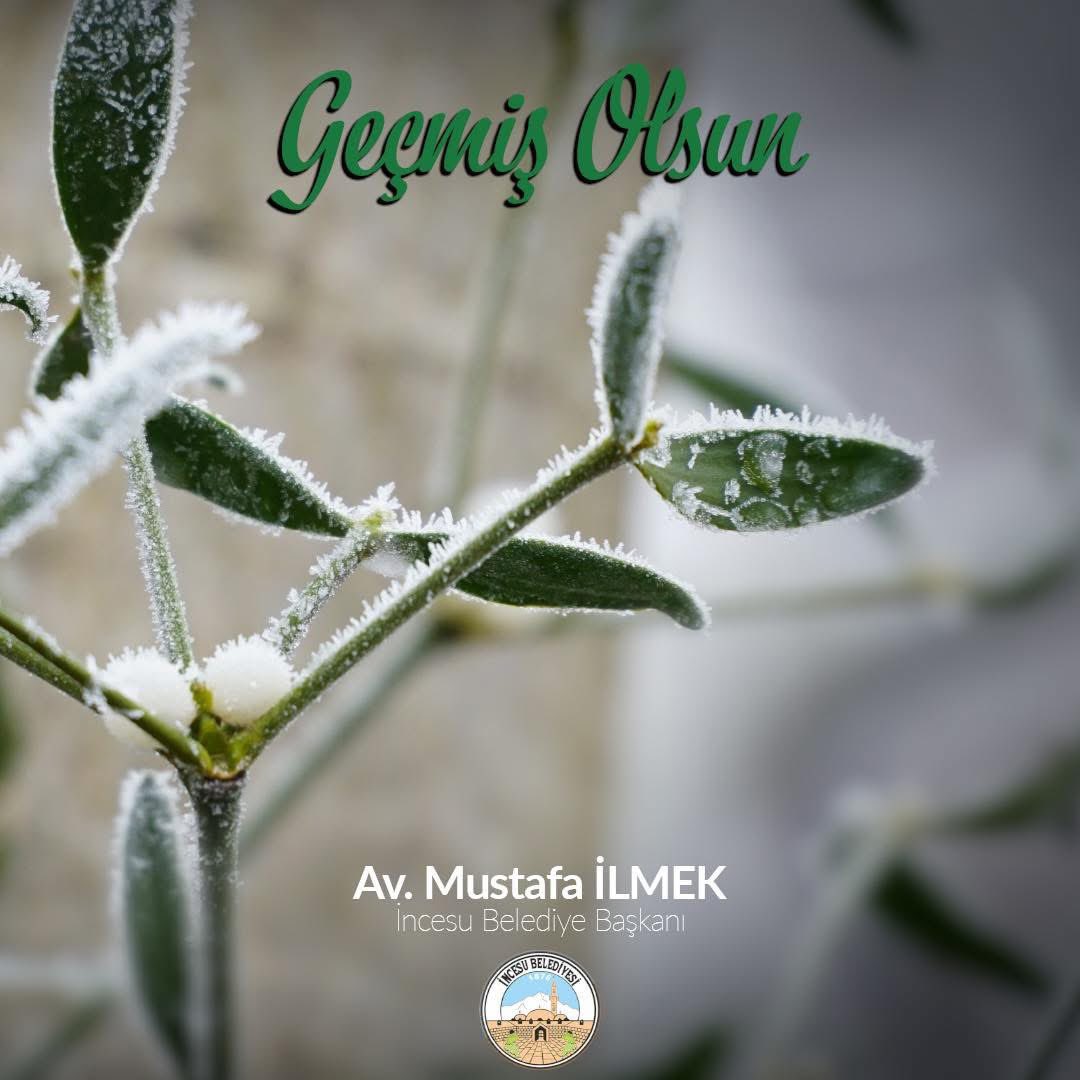 İncesu'da Don Olayı Meyve Ağaçlarını ve Fidanları Etkilidi