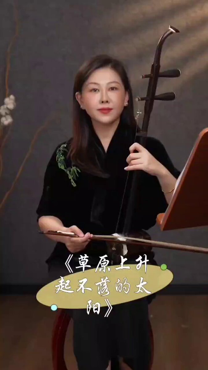 Çin Devlet Profesörü Chen Xiaoxu Erhu Konseriyle Veda Verdi