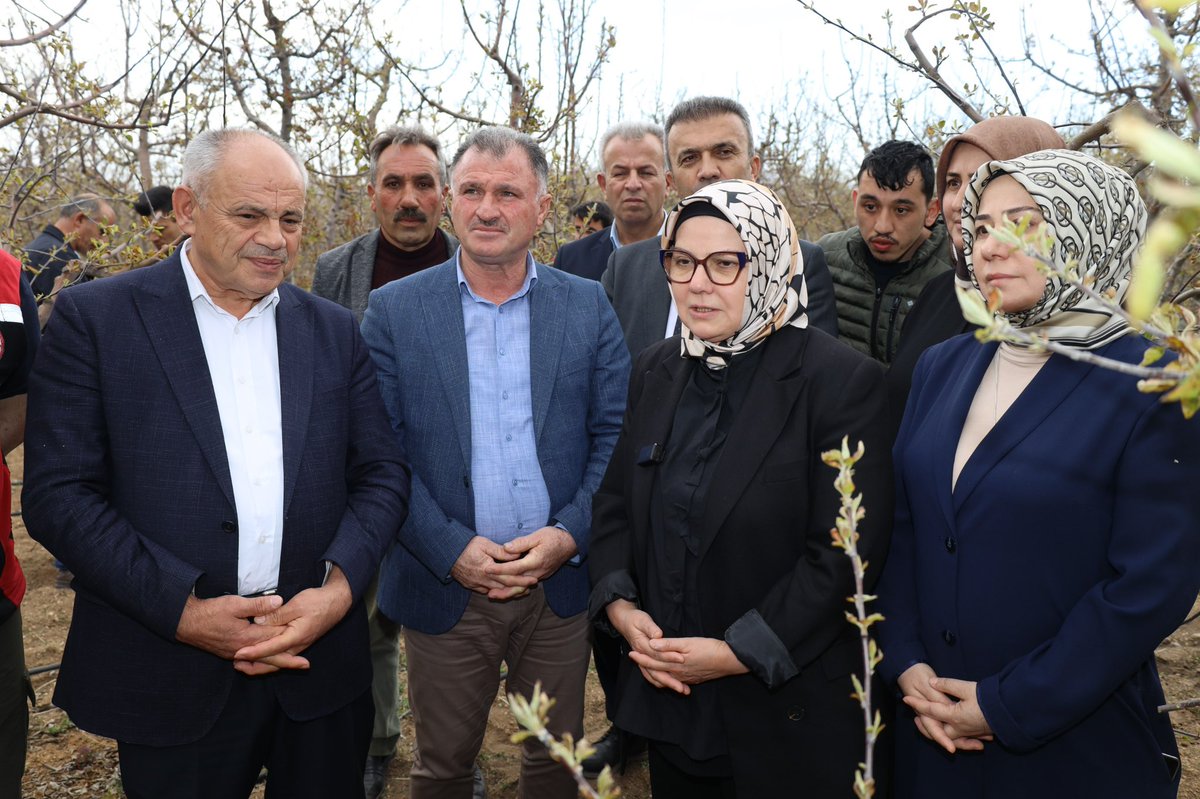Kayseri'de Zirai Don Felaketi: Yahyalı En Çok Etkilendi