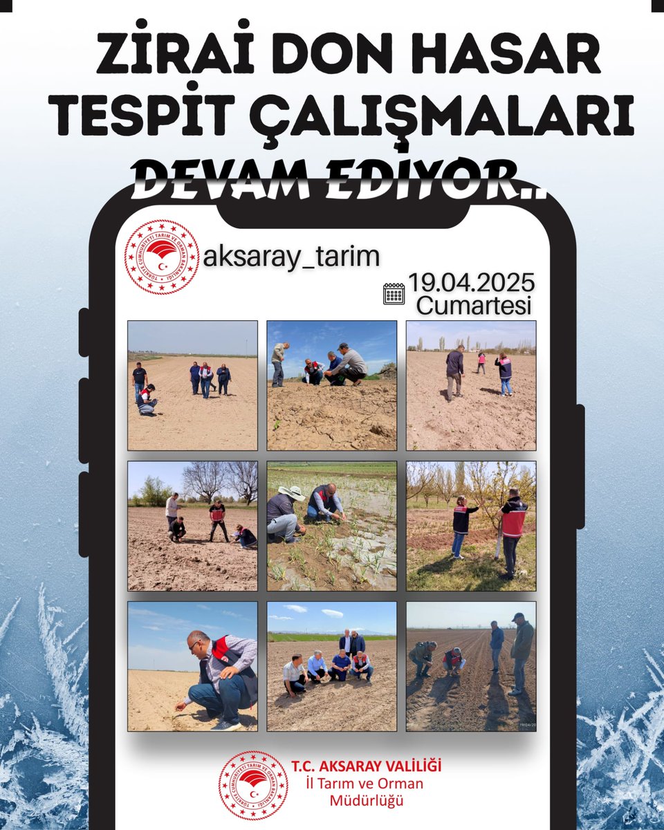 Aksaray'da Zirai Don Sonrası Hasar Tespit Çalışmaları Devam Ediyor