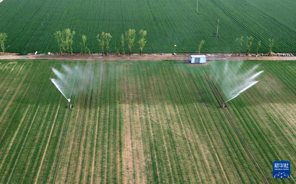 Çin'de İlkbahar Sulama Alanı 200 Milyon Dönüme Ulaştı