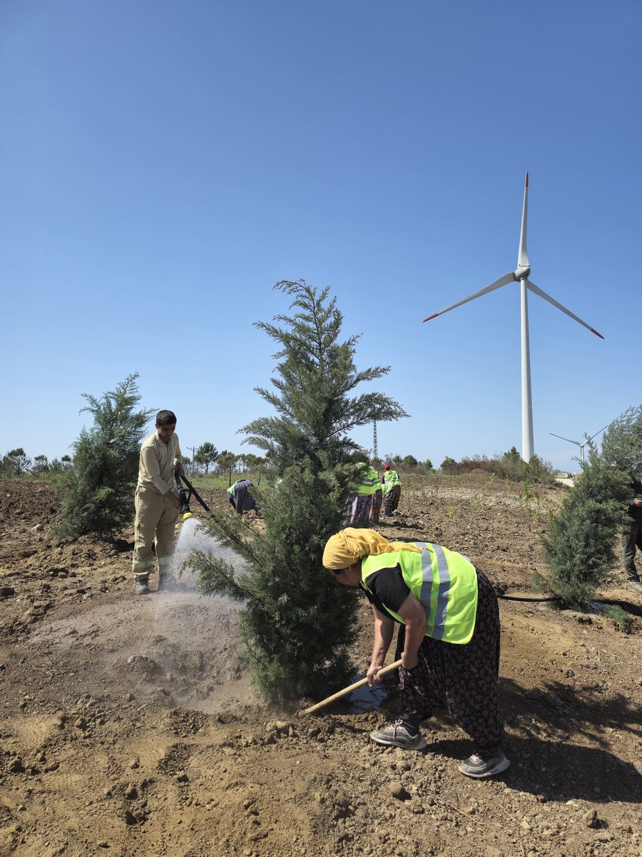 Enerji Bakanlığı, Yaşanabilir Çevre Hedefiyle Hatıra Ormanı Kurdu