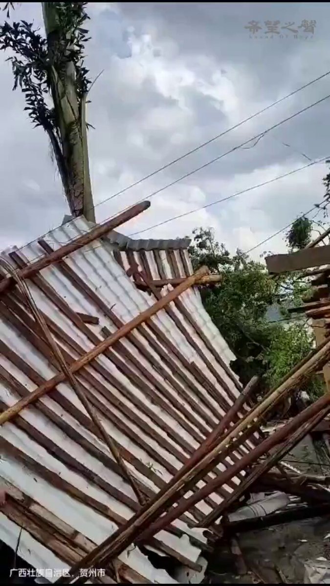 Çin’in Güneydoğu Bölgesi’nde Aşırı Hava Durumu: Can ve Mal Kaybı Endişesi