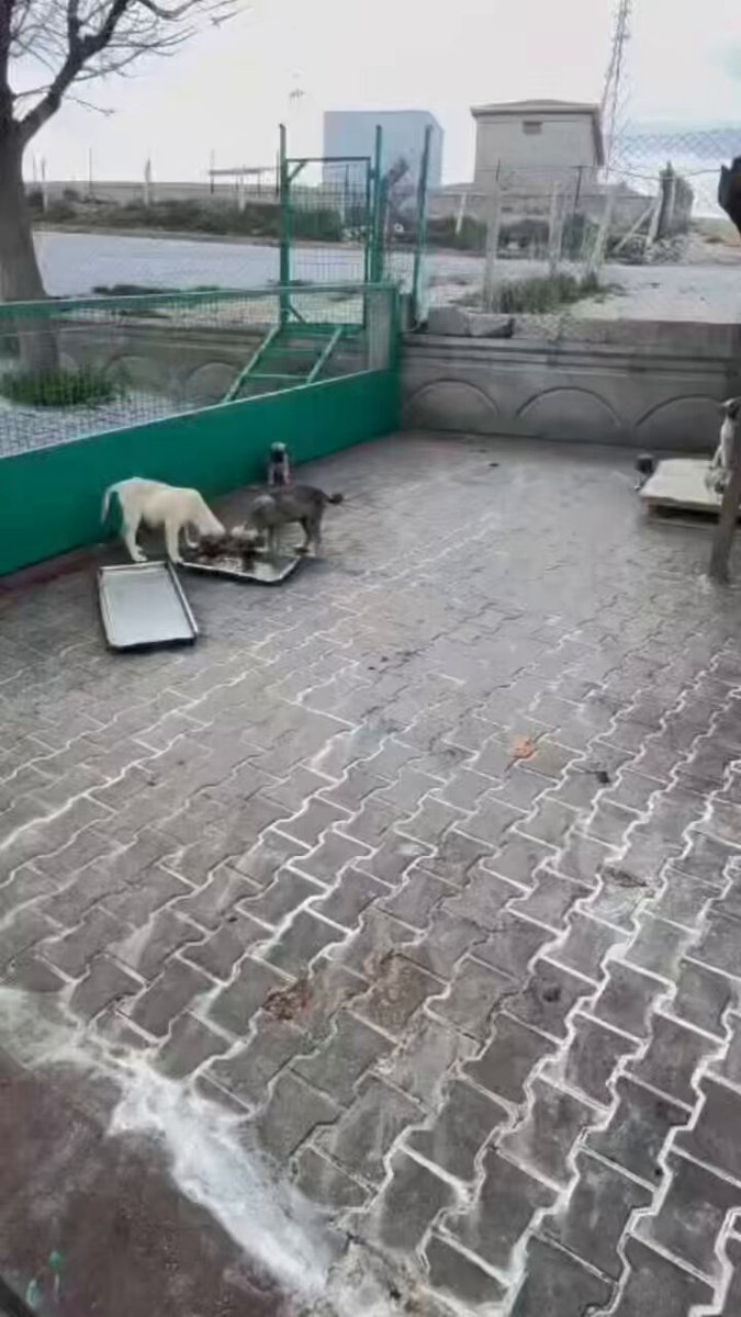 Kırşehir'de İhtiyacı Olan Aileye Destek