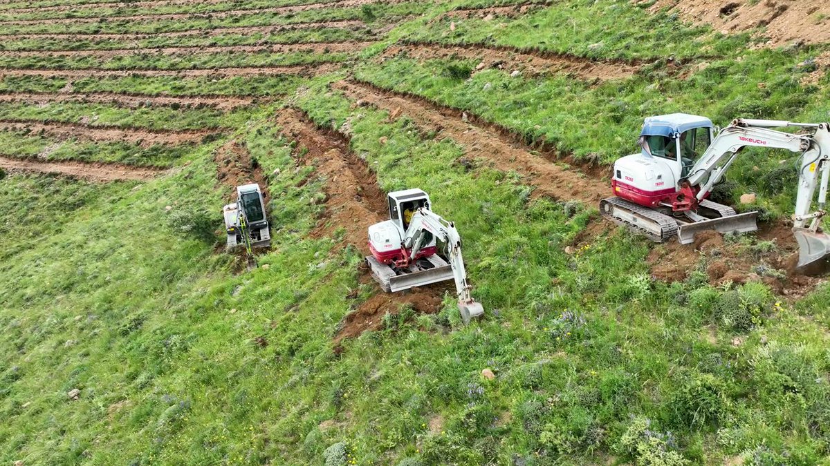 Çamardı'da 65 Bin Fidanla Ağaçlandırma Çalışması