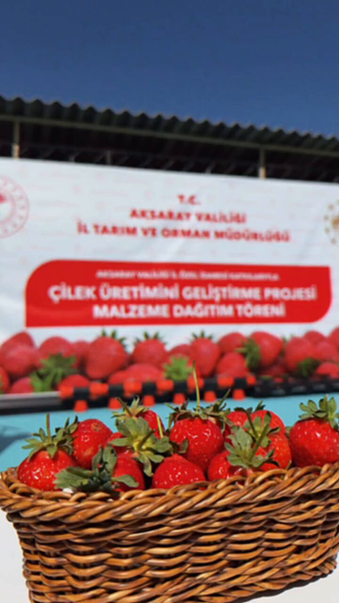 Aksaray'da Çilek Üreticilerine Destek: Malzeme Temin Töreni Düzenlendi