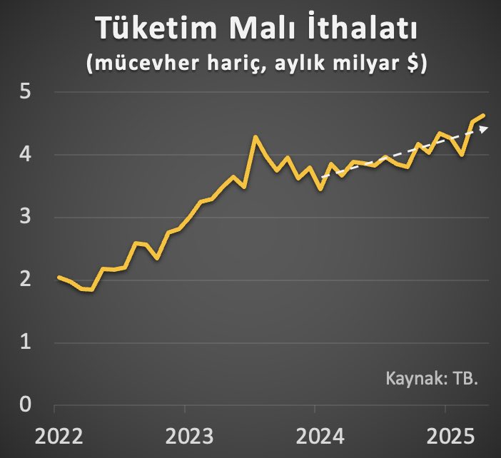 Tüketim Malı İthalatındaki Artış, Türk Lirası'nın Reel Değerini Gösteriyor Olabilir