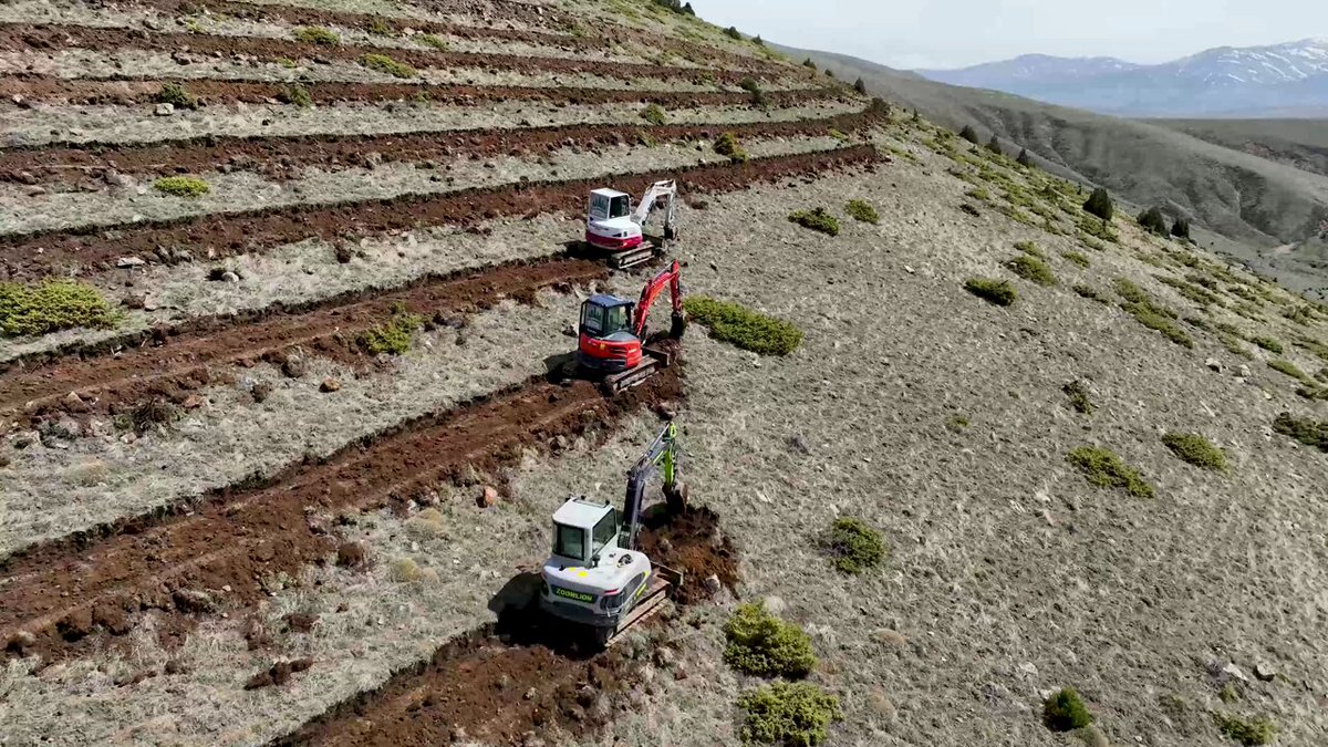 Kayseri Orman Bölge Müdürlüğü, Niğde'de Erozyonla Mücadelede Önemli Adımlar