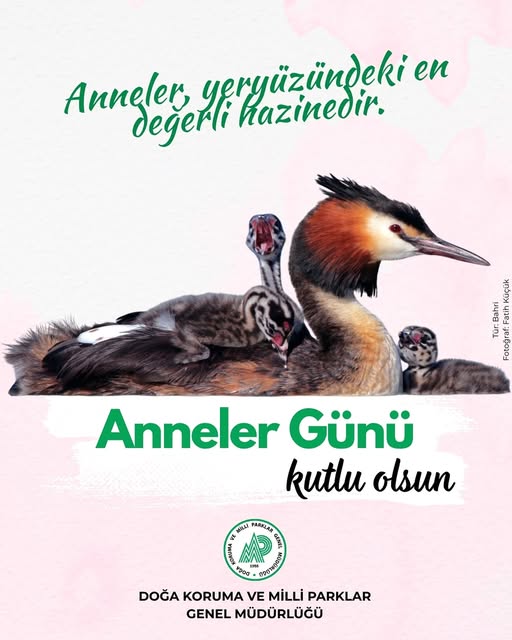 Aksaray'dan Anneler Günü Kutlaması