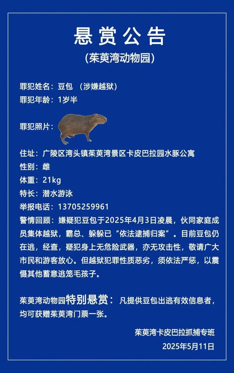 Jiangsu'da Kaçan Kapibara İçin Ödül Duyurusu