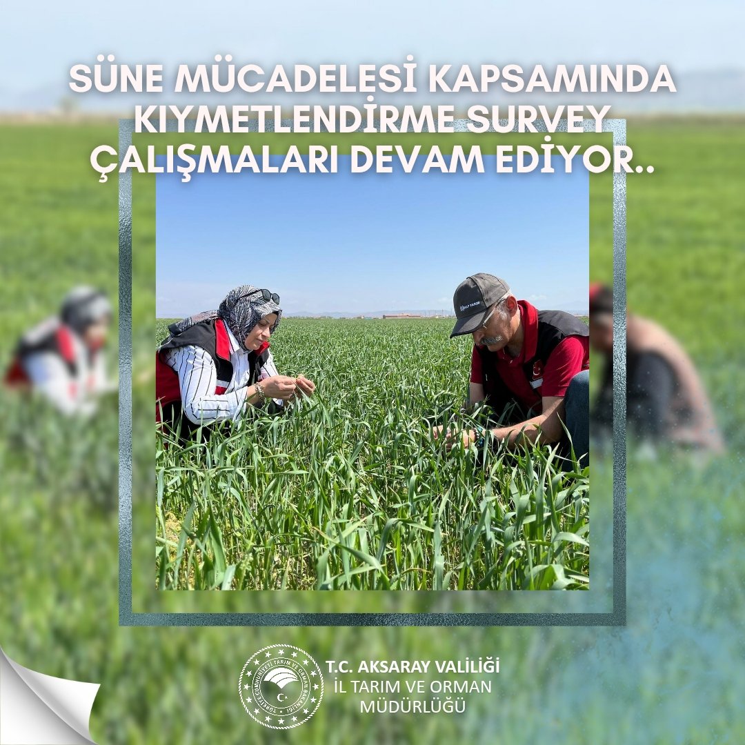 Aksaray'da Suni Mücadele Kapsamında Arazi Değerlendirme Çalışmaları Sürüyor