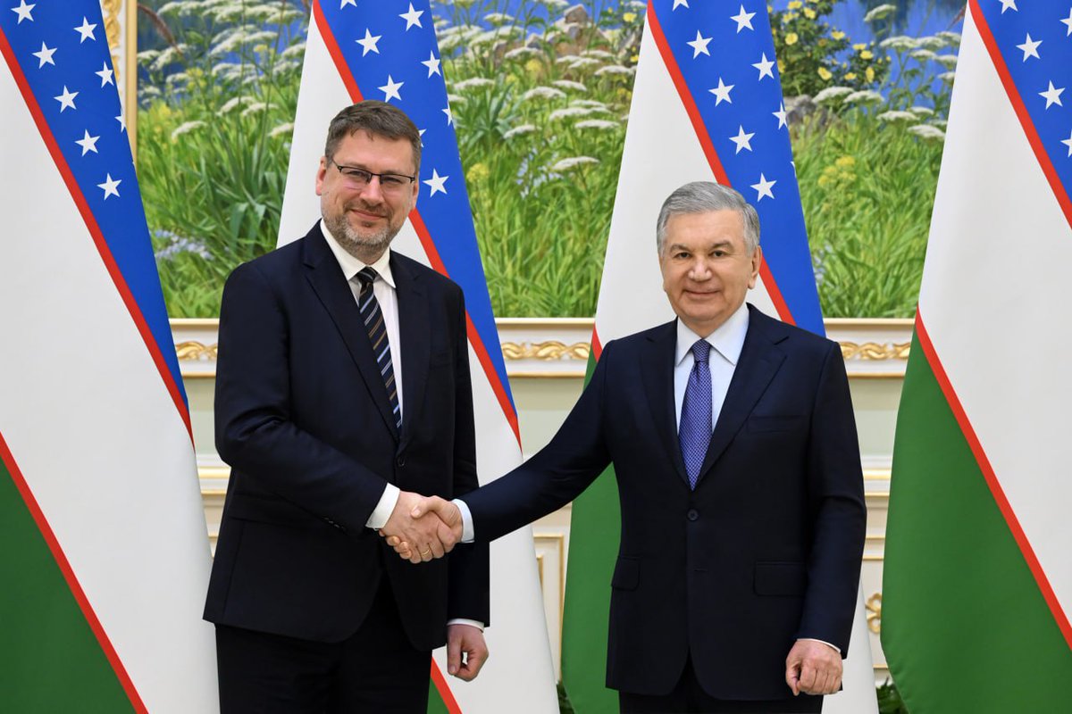 Cumhurbaşkanı Mirziyoyev, AB Özel Temsilcisi Stiprais ile Görüşme Gerçekleştirdi