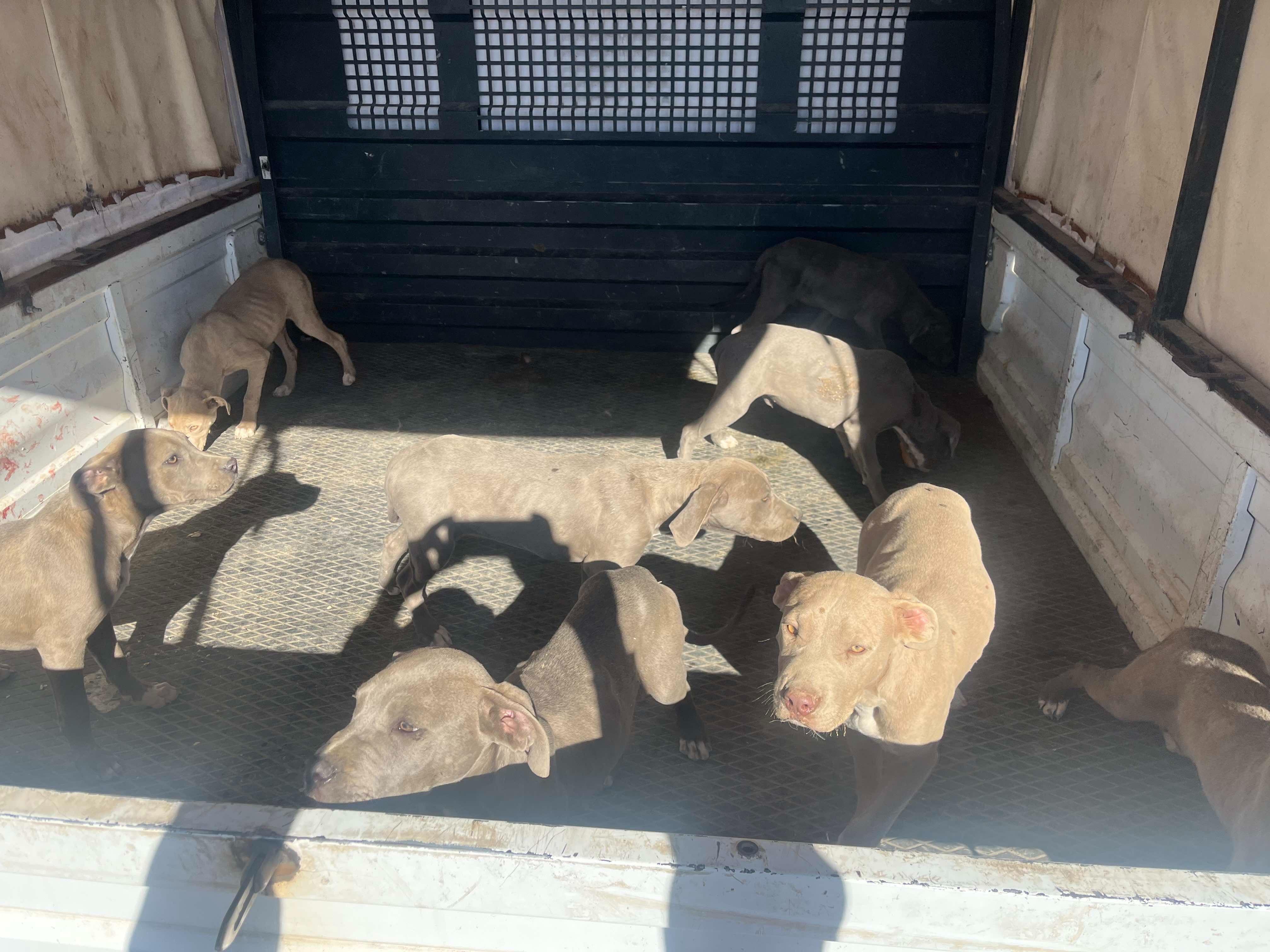 Nevşehir İl Jandarma Komutanlığı, Çevre Doğa ve Hayvanları Koruma